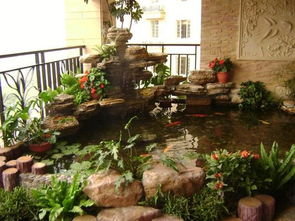 花園養(yǎng)魚注意事項