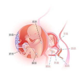 懷孕見(jiàn)紅注意事項(xiàng)