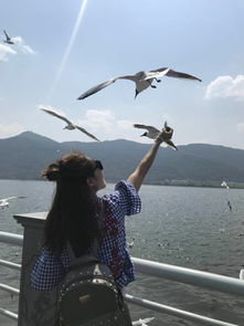 去北海道跟團旅游注意事項