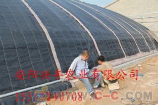 建蔬菜大棚結構注意事項