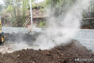 冬季魚塘加水注意事項(xiàng),魚塘安全注意事項(xiàng),魚塘殺蟲注意事項(xiàng)