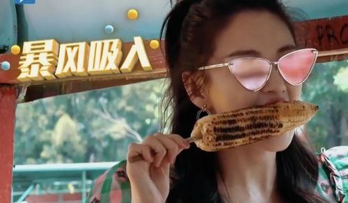 注意事項,檔案,酒店