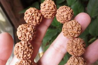 佩戴,注意事項(xiàng),金剛