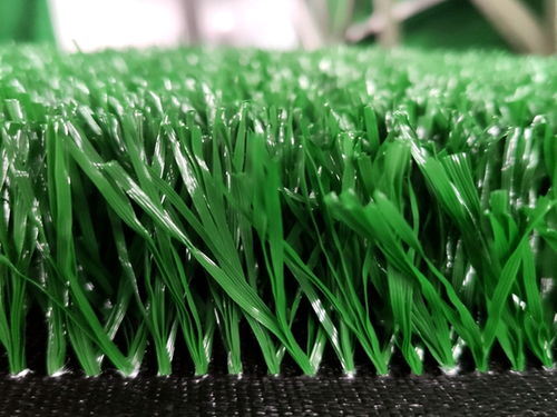 種草皮注意事項(xiàng)