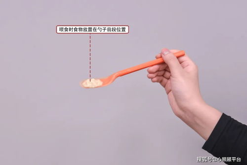 給老年人喂飯的注意事項,臥床老年人喂飯的注意事項,喂飯的注意事項