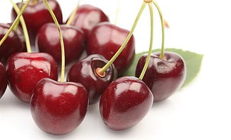 應注意,櫻桃,孕婦,事項