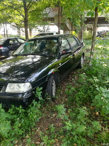 polo跑長途的注意事項