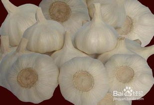 儲(chǔ)藏室購(gòu)買(mǎi)注意事項(xiàng),腌菜的注意事項(xiàng),玻璃瓶腌菜注意事項(xiàng)