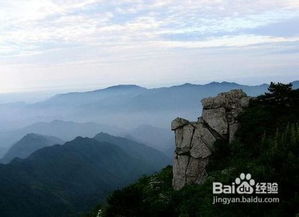 野外收蜂注意事項(xiàng)