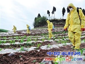 農(nóng)藥,儲(chǔ)存,注意事項(xiàng)