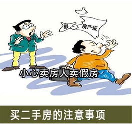 購(gòu)二手房流程和注意事項(xiàng),購(gòu)賣(mài)二手房注意事項(xiàng),購(gòu)二手房交房注意事項(xiàng)