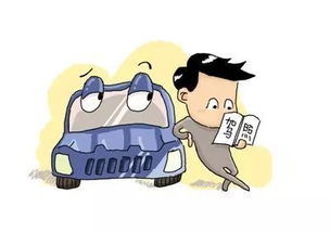 駕校學員培訓注意事項