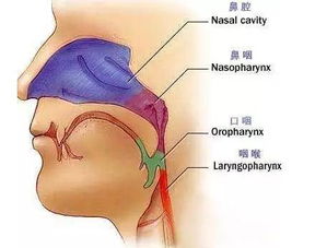 鼻咽癌放療后的麻醉注意事項