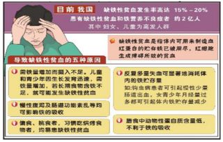 缺鐵性貧血補(bǔ)鐵的注意事項,簡述缺鐵性貧血患兒補(bǔ)鐵的注意事項,缺鐵性貧血病人補(bǔ)鐵的注意事項包括