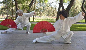 太極拳,注意事項