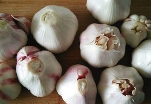 糖醋,存放,注意事項(xiàng)