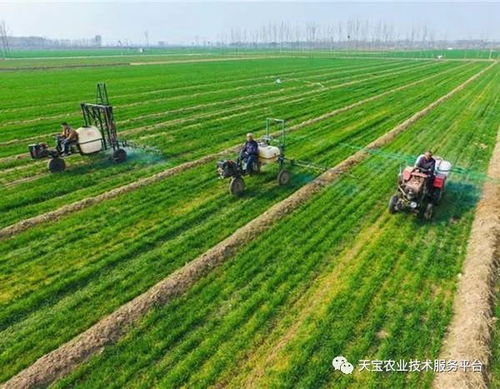 種地,大戶,注意事項