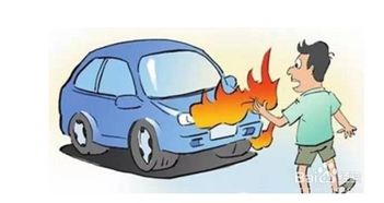 夏季,停車,注意事項