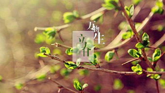 2015立春注意事項(xiàng)