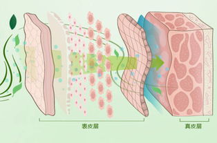 無針?biāo)獾淖⒁馐马?xiàng)