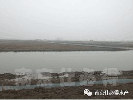 新開(kāi)的螃蟹塘注意事項(xiàng)