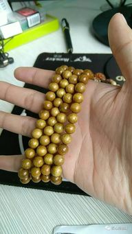 金絲楠木移栽注意事項,金絲楠木小樹移栽注意事項,金絲楠木苗移栽注意事項