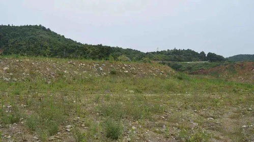 農(nóng)村荒地轉(zhuǎn)讓注意事項