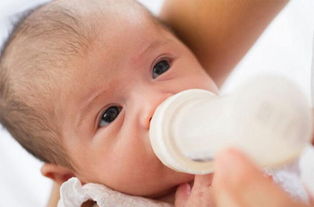 混合養(yǎng)的寶寶注意事項