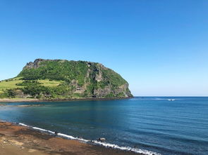 一個(gè)人去濟(jì)州島注意事項(xiàng)