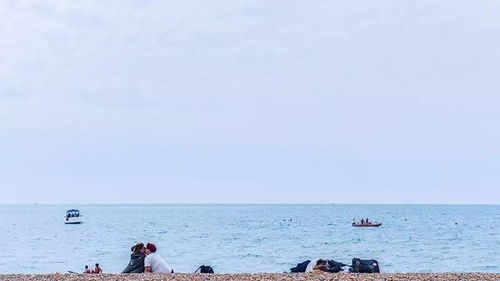 新生兒曬太陽注意事項(xiàng),巴西龜曬太陽注意事項(xiàng),蘭花曬太陽的注意事項(xiàng)