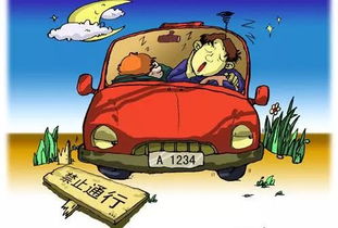 高溫,注意事項(xiàng),開車,天氣