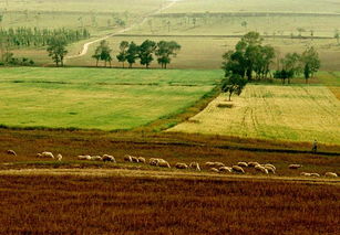 秋旋耕地地注意事項