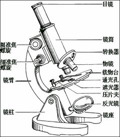 顯微鏡注意事項(xiàng)細(xì)調(diào)
