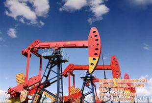 注意事項(xiàng),啟動(dòng),抽油機(jī)