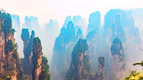 去張家界的注意事項,張家界國家森林公園注意事項,張家界玻璃棧道注意事項