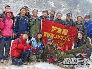 新驢注意事項(xiàng)