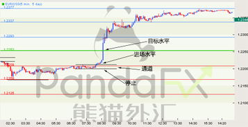 軸心點(diǎn)交易注意事項(xiàng)