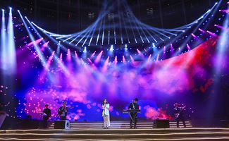 晚會注意事項以及溫馨提示,晚會主持人注意事項,晚會要求以及注意事項