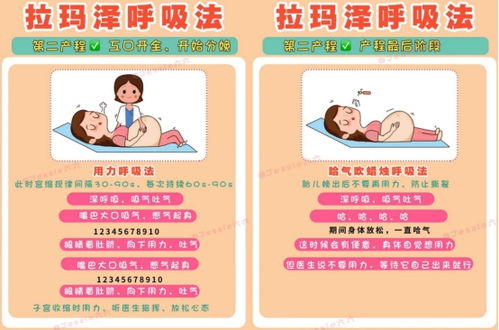 懷孕每階段注意事項(xiàng)