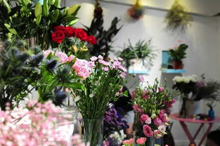 注意事項,七夕賣花