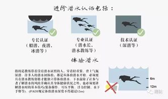 下級,表揚,注意事項