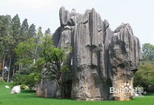 云南,注意事項(xiàng),旅游