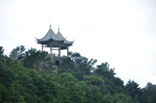 梧桐山登山注意事項