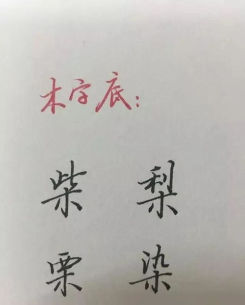 哉字書寫注意事項(xiàng),字的書寫注意事項(xiàng),趁字書寫注意事項(xiàng)