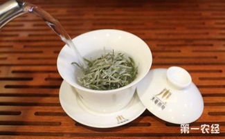 白茶白茶沖泡的注意事項