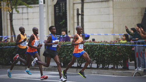 馬拉松,兩周,注意事項