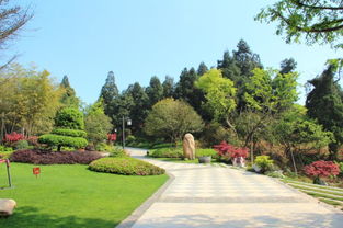 綠化施工安全注意事項(xiàng),綠化施工注意事項(xiàng),綠化審計(jì)注意事項(xiàng)