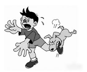 打狂犬育苗注意事項(xiàng)