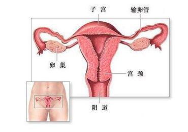子宮肥大注意事項