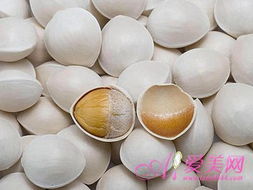 銀杏葉泡茶注意事項(xiàng)